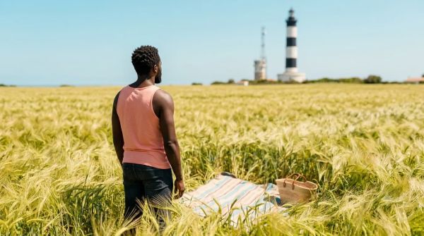 Meilleures activités en camping Île d'Oléron : les incontournables à ne pas manquer